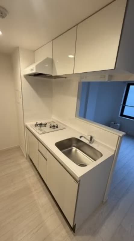 Rental House in Bunkyo, Tokyo — Repure Koishikawa - Room 1F, 1F 1K 31m², ¥225,000/mo, Bunkyo Tokyo — photo 4