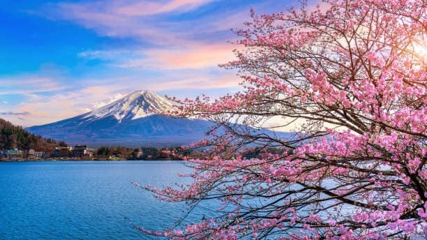 Spring 2026 — three new properties in Kanagawa